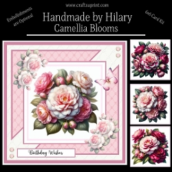 Camellia Blooms