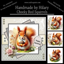 Cheeky Red Squirrels