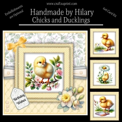 Chicks and Ducklings