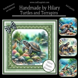 Turtles and Terrapins