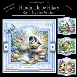 Birds by the Water
