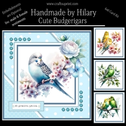 Cute Budgerigars