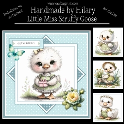 Little Miss Scruffy Goose