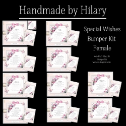 Special Wishes Bumper Kit - Female