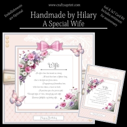 A Special Wife