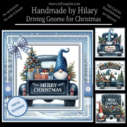 Driving Gnome for Christmas