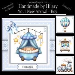 Your New Arrival - Boy