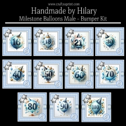 Milestone Balloons Male Bumper Kit