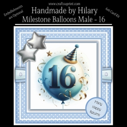 Milestone Balloons Male 16