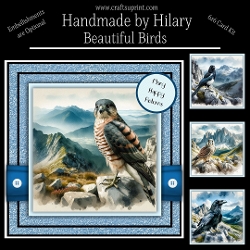 Beautiful Birds