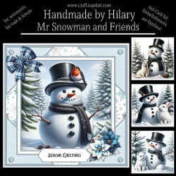 Mr Snowman and Friends