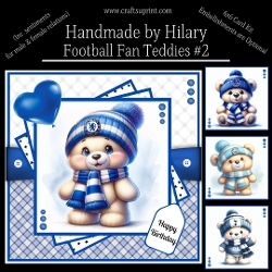 Football Fan Teddies #2