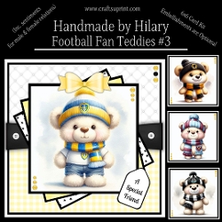 Football Fan Teddies #3
