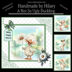 A Not So Ugly Duckling