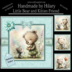 Little Bear and Kitten Friend