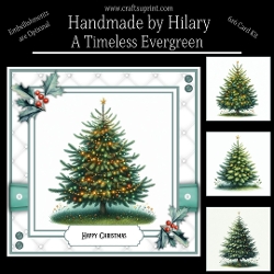A Timeless Evergreen