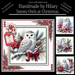 Snowy Owls at Christmas
