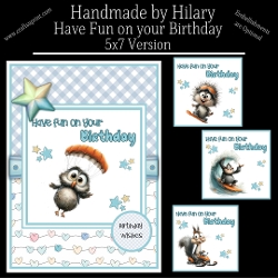 Have Fun on your Birthday - 5x7 Version