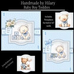 Baby Boy Teddies