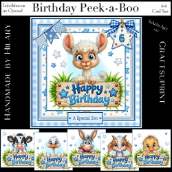 cup1463414_118824 - Birthday Peek-a-Boo