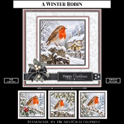 A Winter Robin