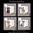 Mans Best Friend - Bumper Kit #1 (Makes 4 Cards)