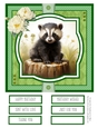 Woodland Critters #1 8x8 Quick Card