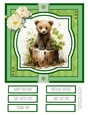 Woodland Critters #3 8x8 Quick Card