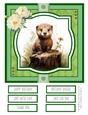 Woodland Critters #4 8x8 Quick Card