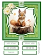 Woodland Critters #5 8x8 Quick Card