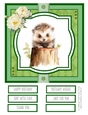 Woodland Critters #6 8x8 Quick Card