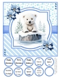 Splish Splash Polar Bear 8x8 Quick Card #2
