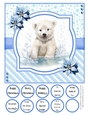 Splish Splash Polar Bear 8x8 Quick Card #3