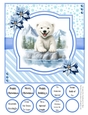 Splish Splash Polar Bear 8x8 Quick Card #4