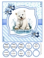 Splish Splash Polar Bear 8x8 Quick Card #5