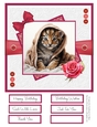 Animal Snuggles 8x8 Quick Card - Design 5