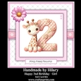 Happy 2nd Birthday Girl