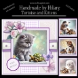 Tortoise and Kittens