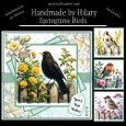 Springtime Birds