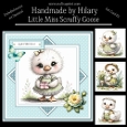 Little Miss Scruffy Goose