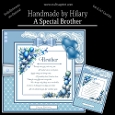 A Special Brother