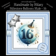 Milestone Balloons Male 16
