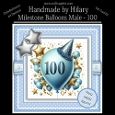 Milestone Balloons Male 100