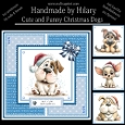 Cute and Funny Christmas Dogs