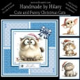 Cute and Funny Christmas Cats