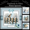 Winter Sparrows
