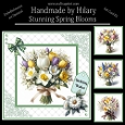 Stunning Spring Blooms