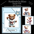 Karate Ted - 5x7 Version