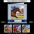 Male Sporting Champions 3