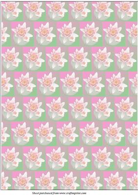 Pink Water Lily Vellum